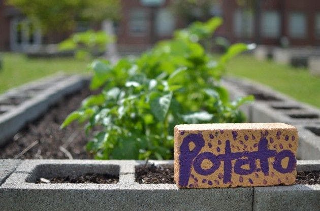 Going green pays off for University