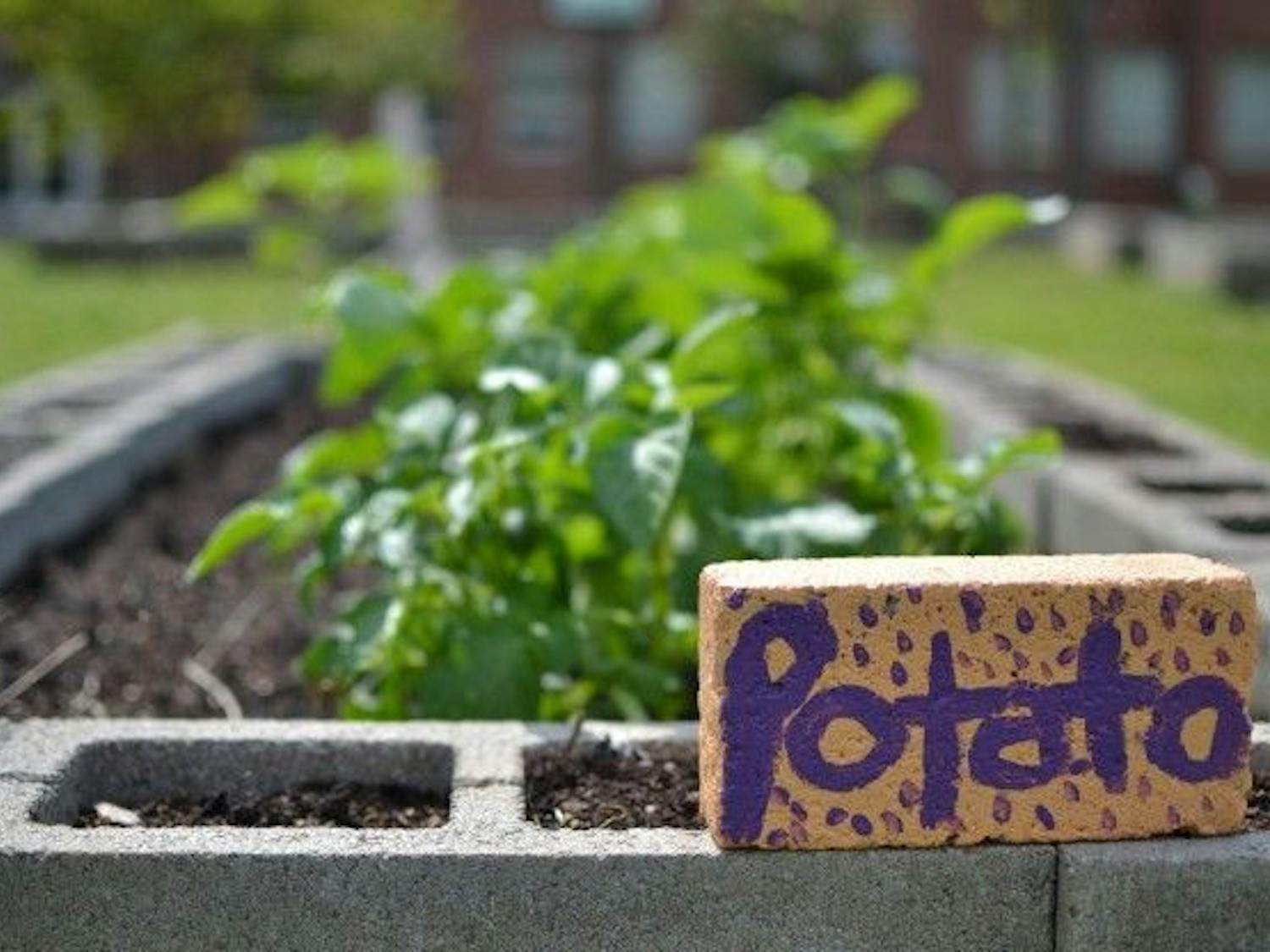 Going green pays off for University