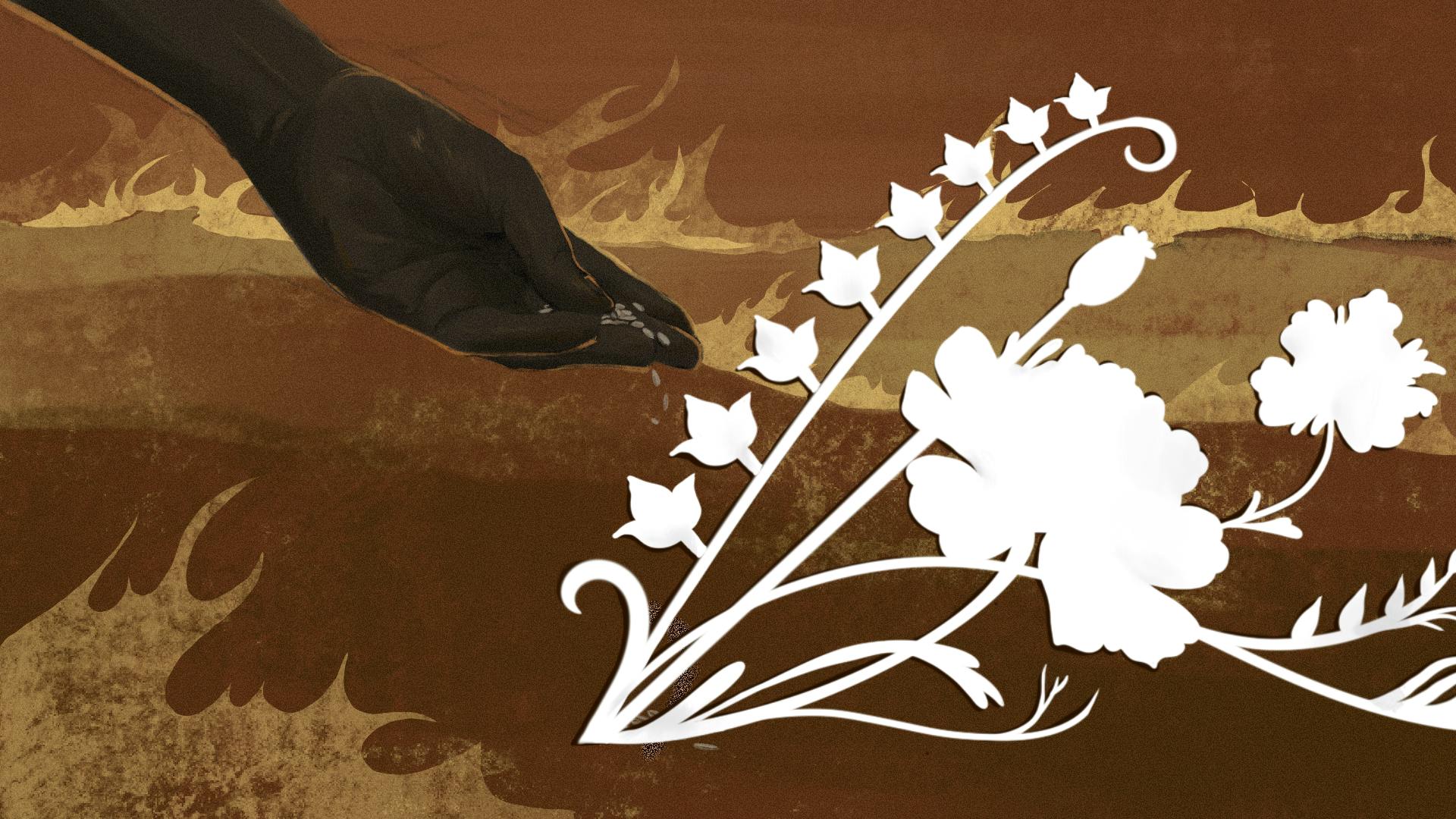 Parable of the Sower Yvan