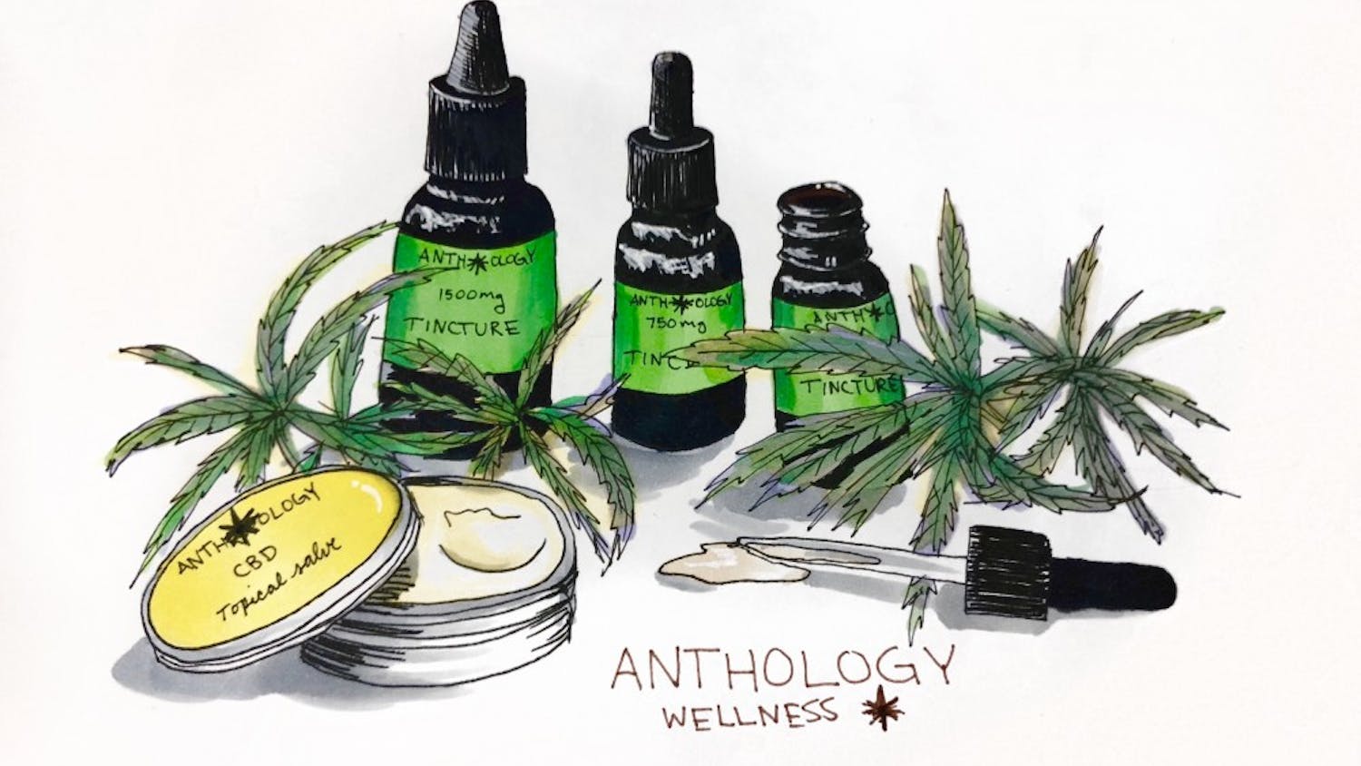 Cecelia Vieira__STYLE__Anthology Wellness.jpg