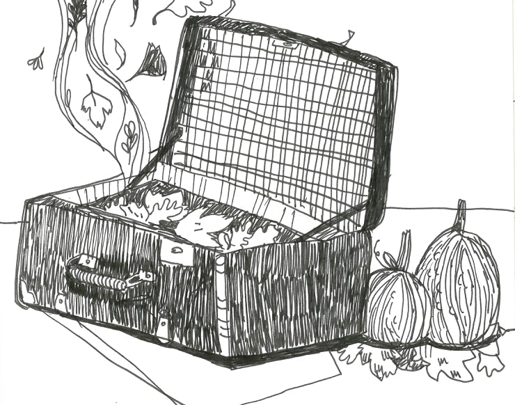 sofie praestgaard last minute fall break .png