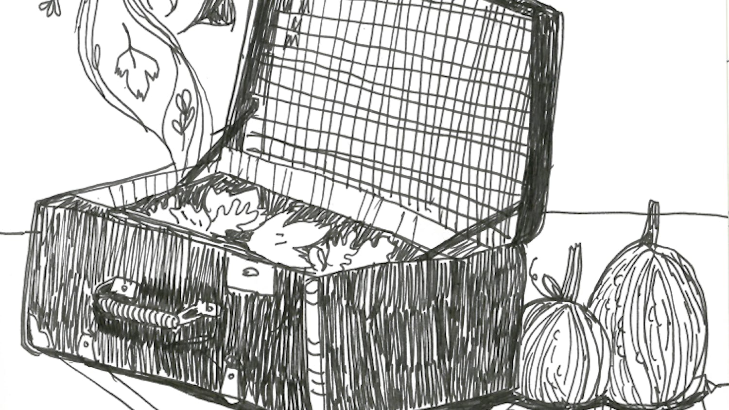 sofie praestgaard last minute fall break .png