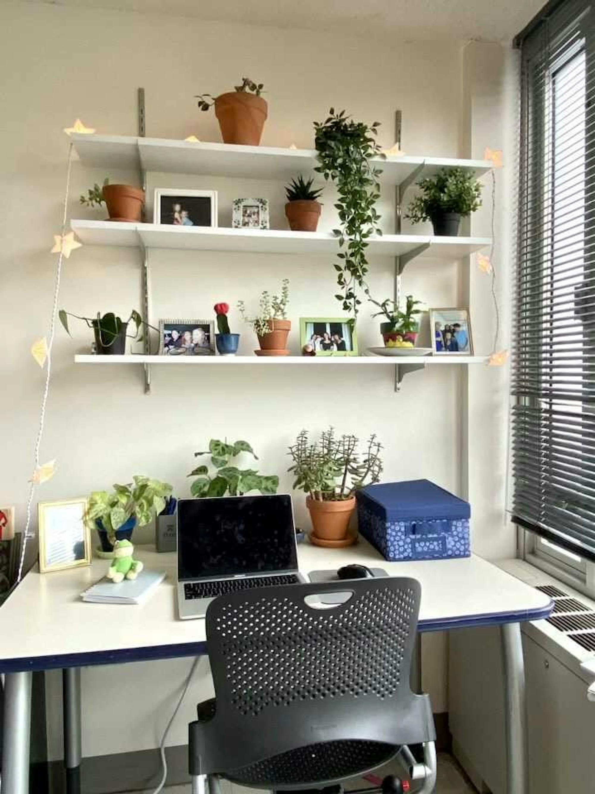 Cierra Freer Study Space