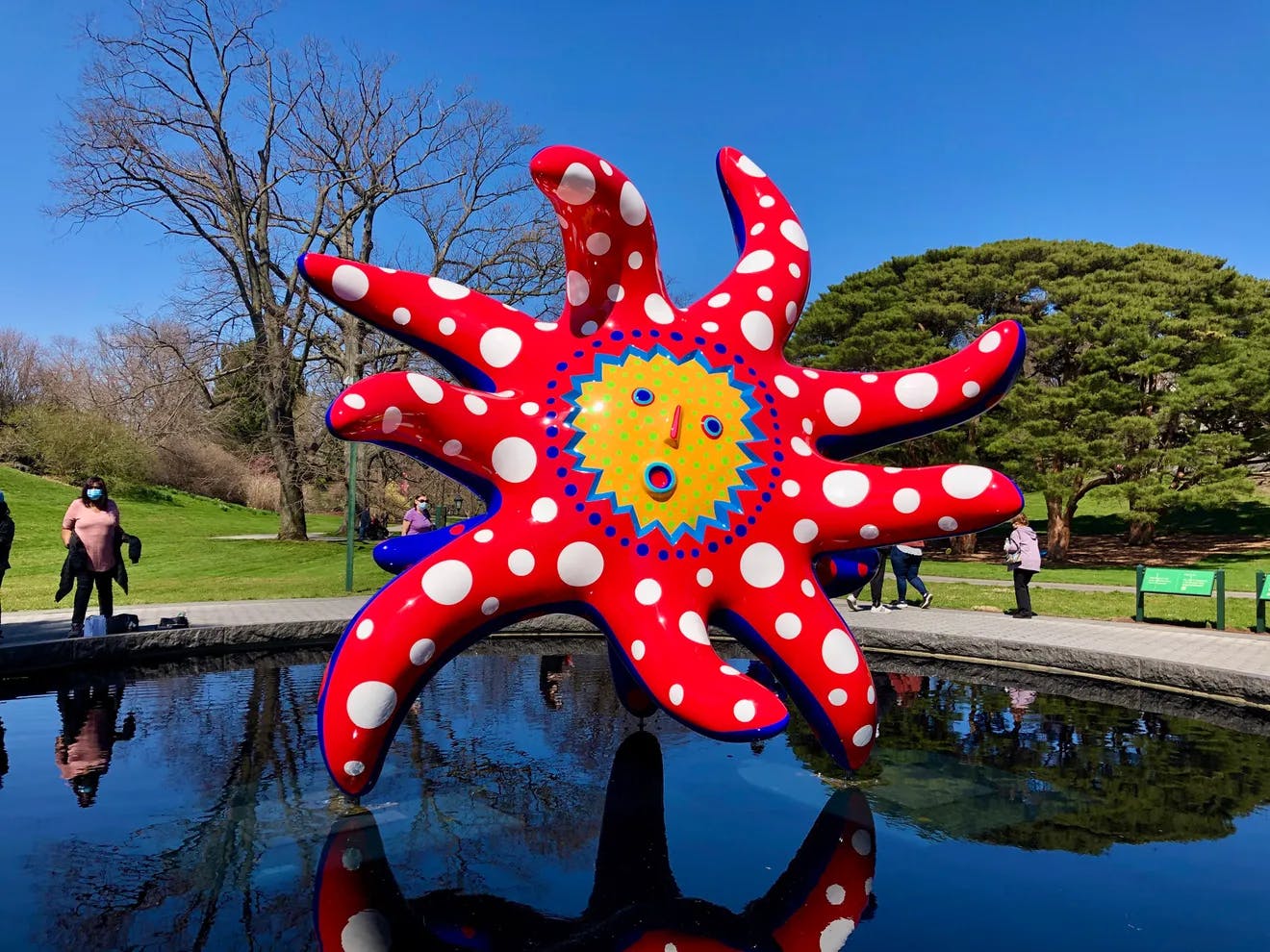 kusama