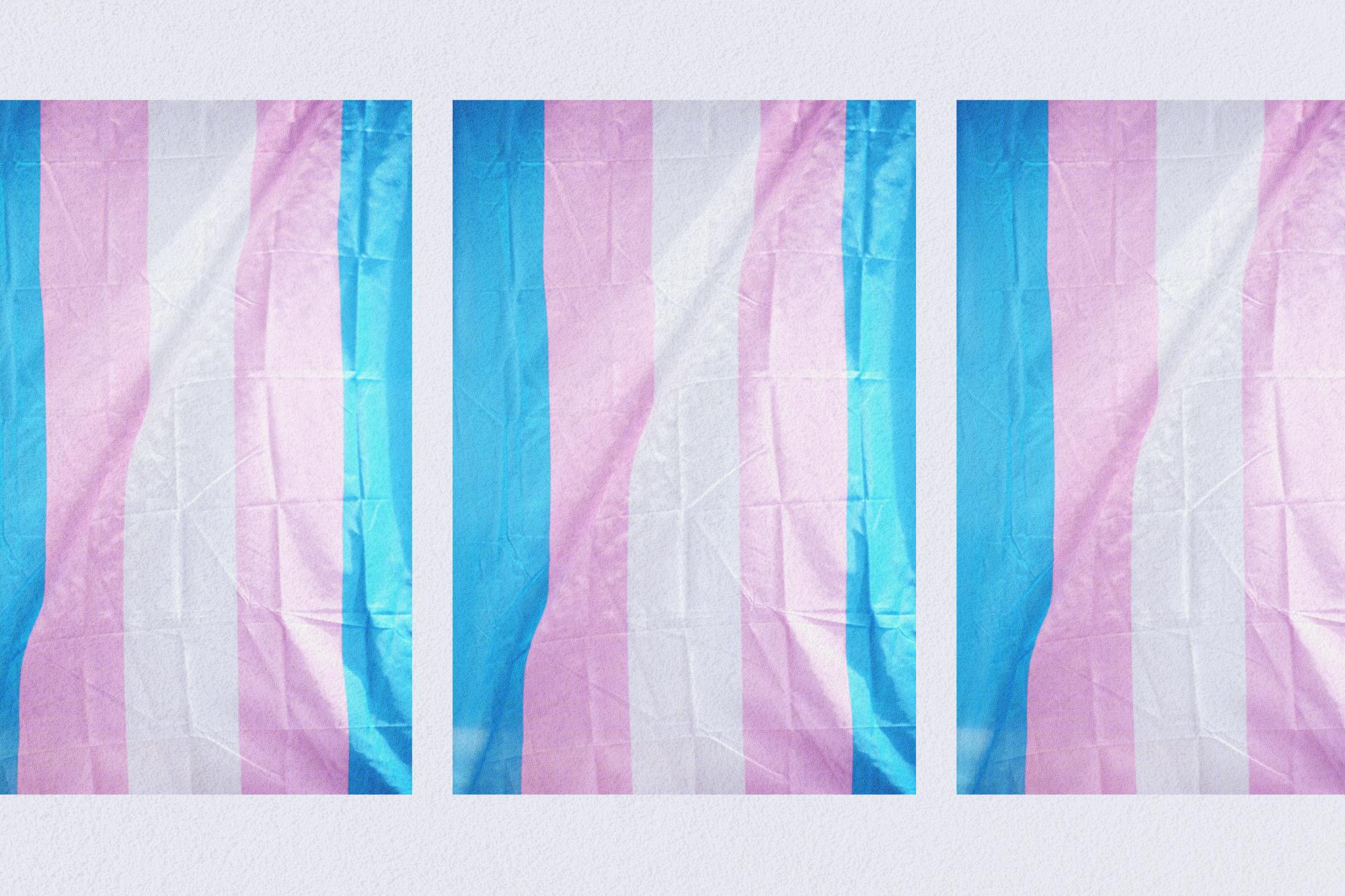 trans inclusive style guide-01.png