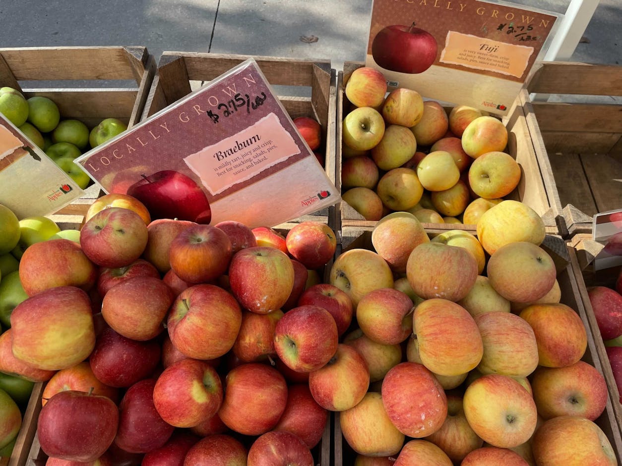 universitysquarefarmersmarket1