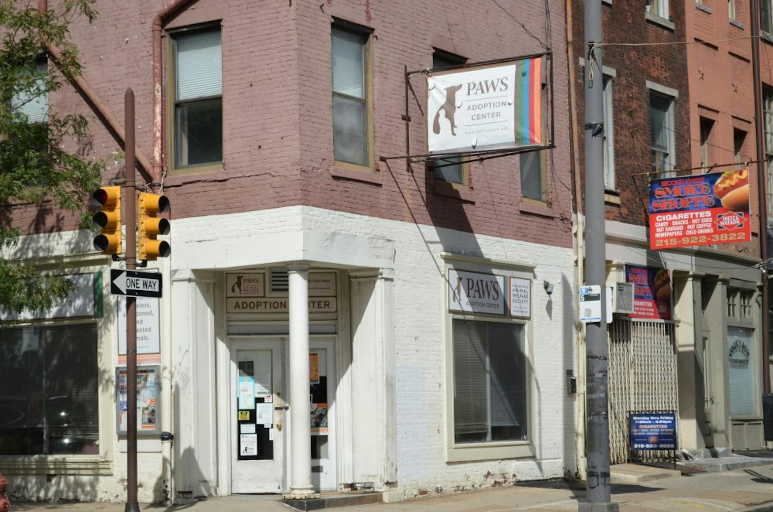 STAFF_adoption shelter_sophiazhu3.JPG