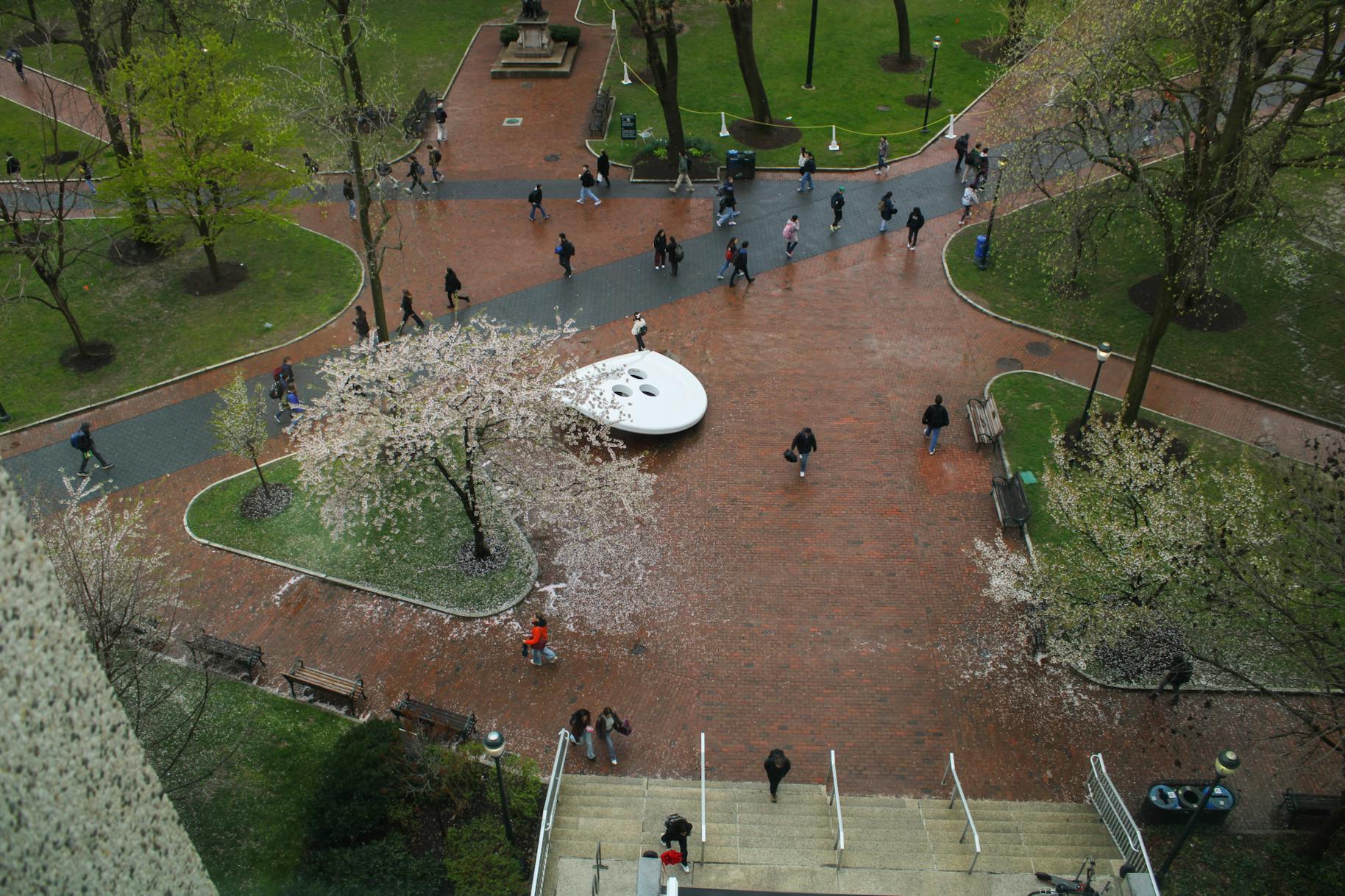 04-09-24 Penn Birds Eye (Jean Park)-01.jpg