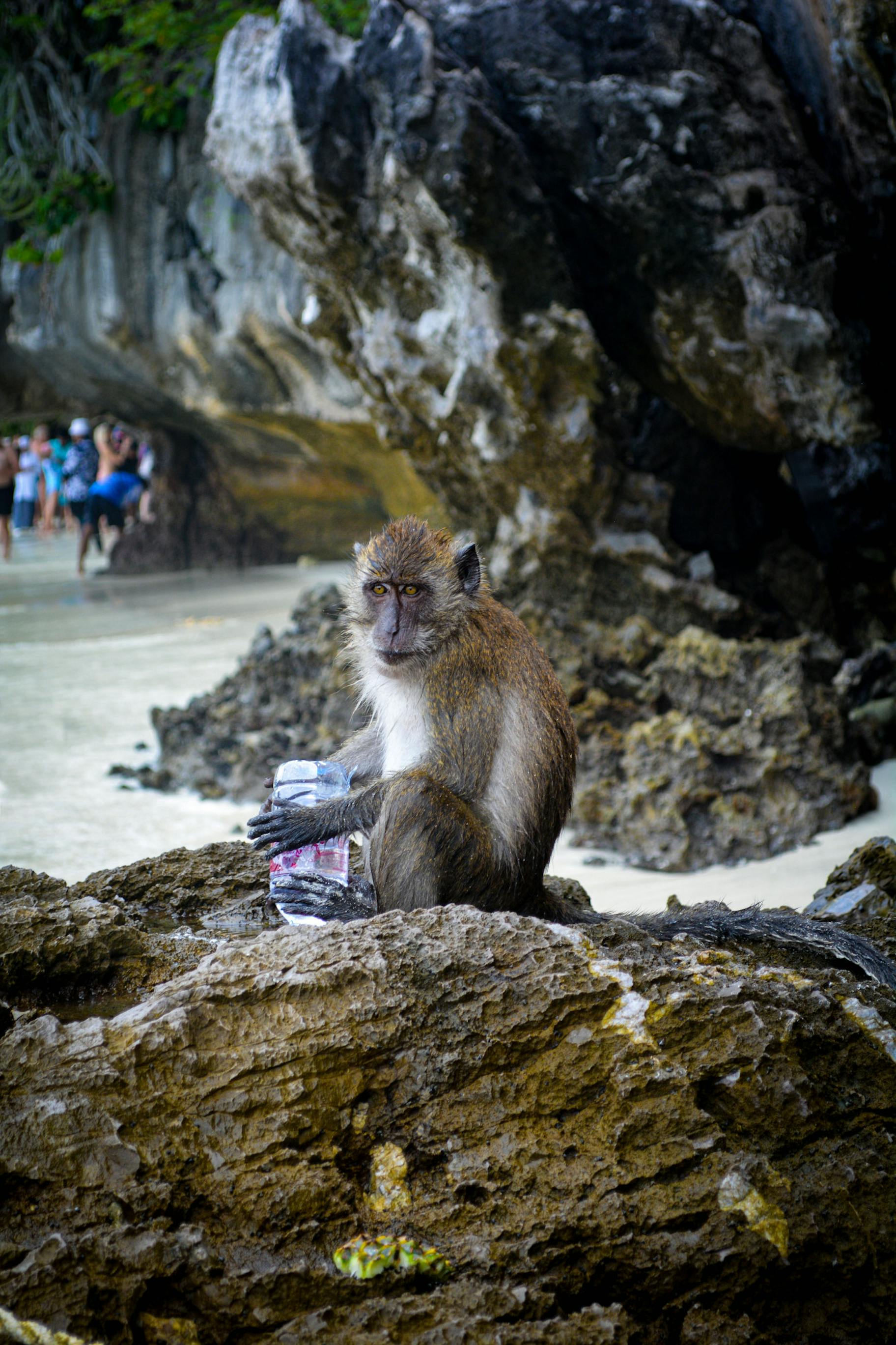 08-27-24 Photo Essay Jackson 1 (Jackson Ford)