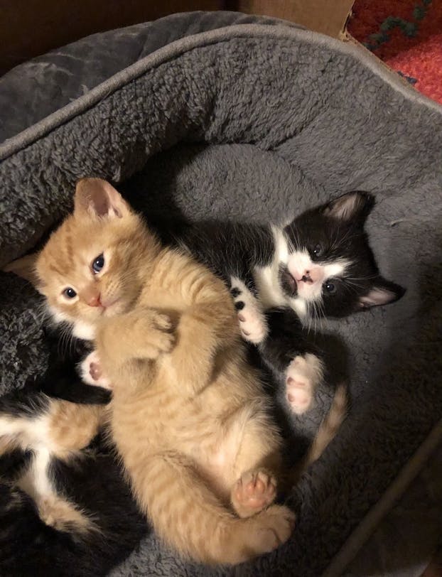 IMG_2886_Original (1) (1).jpg