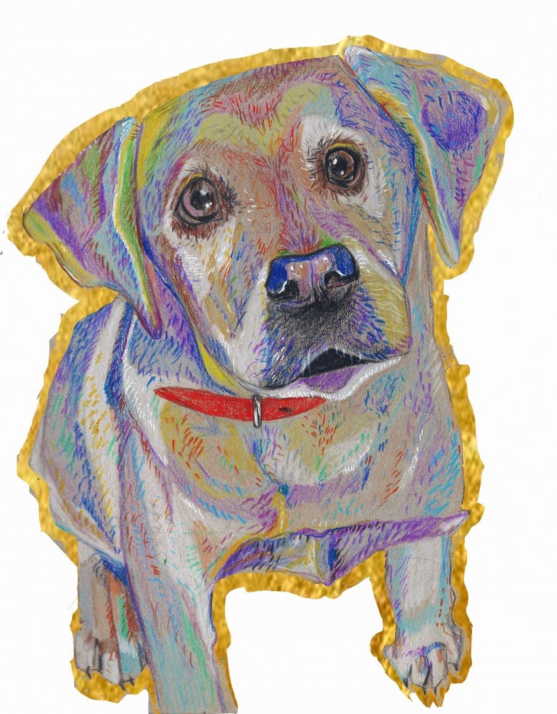 STYLE__jessi olarsch_pets.jpg