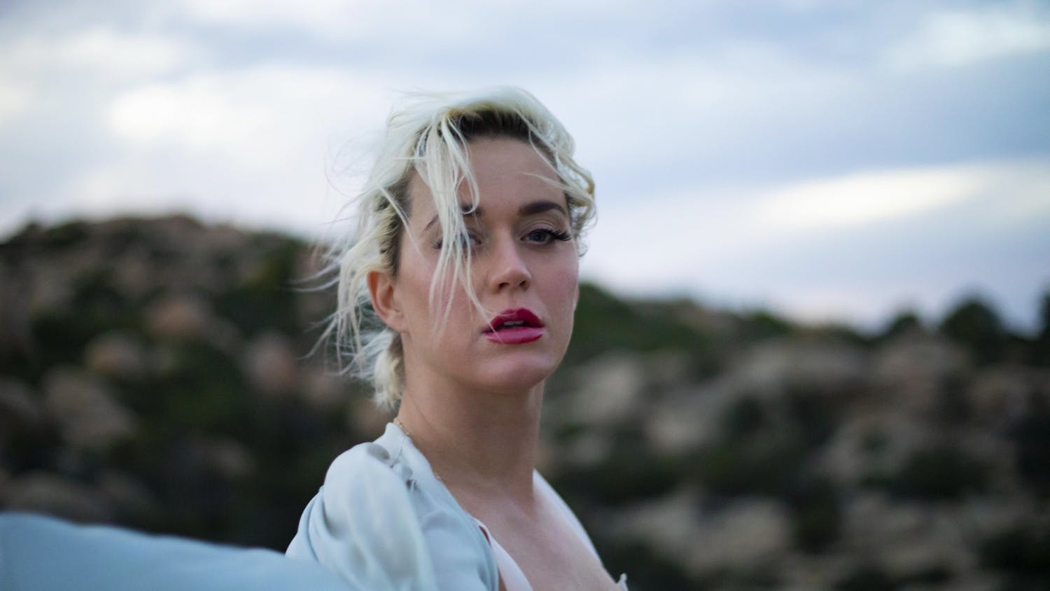 PR KP Daisies LEAD IMAGE_Credit Liza Voloshin