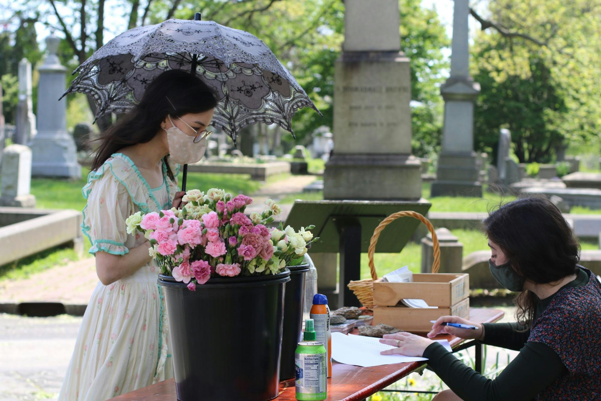 jane-austen-promenade-woodlands