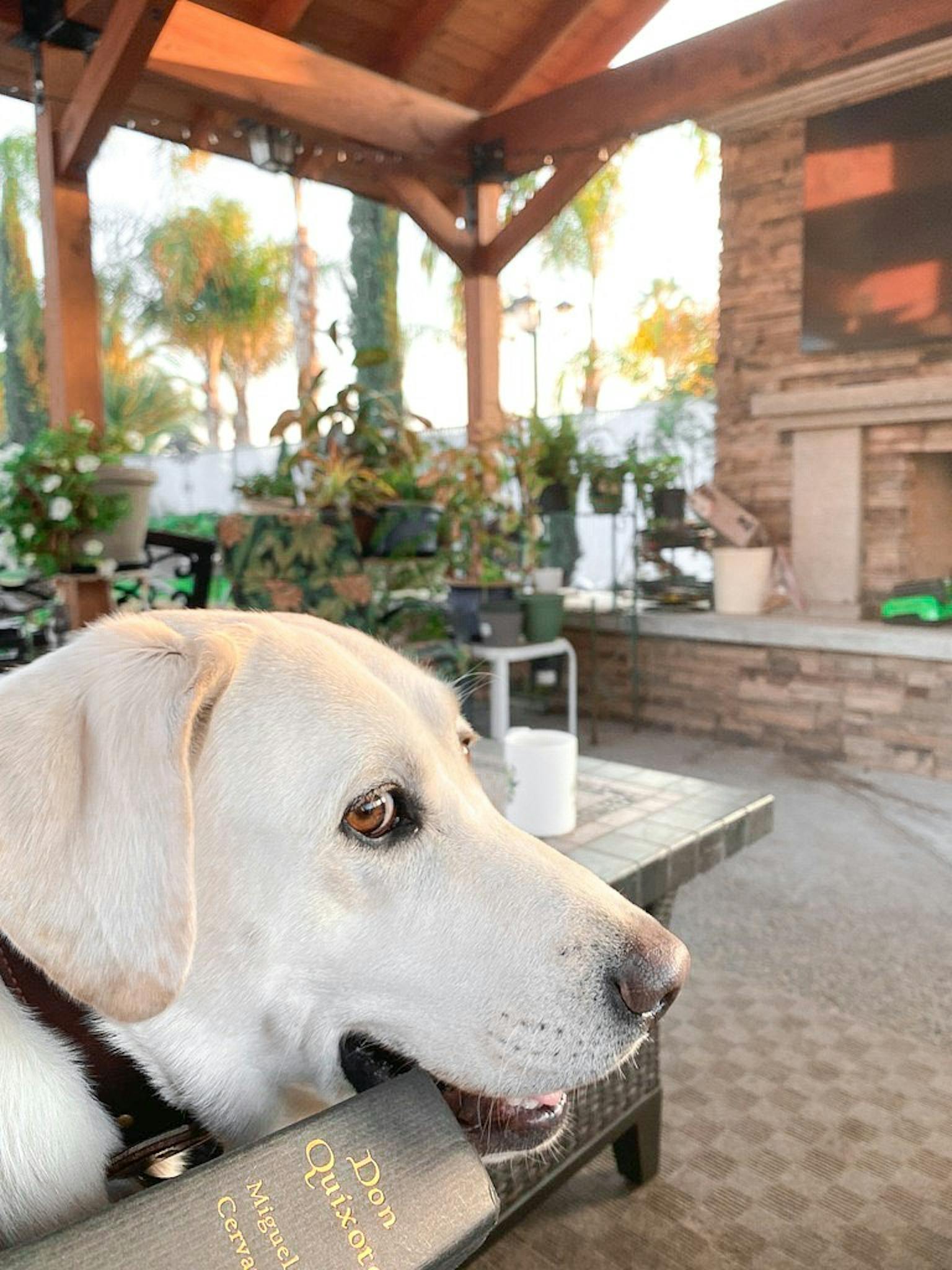 photoessay_MehekBoparai