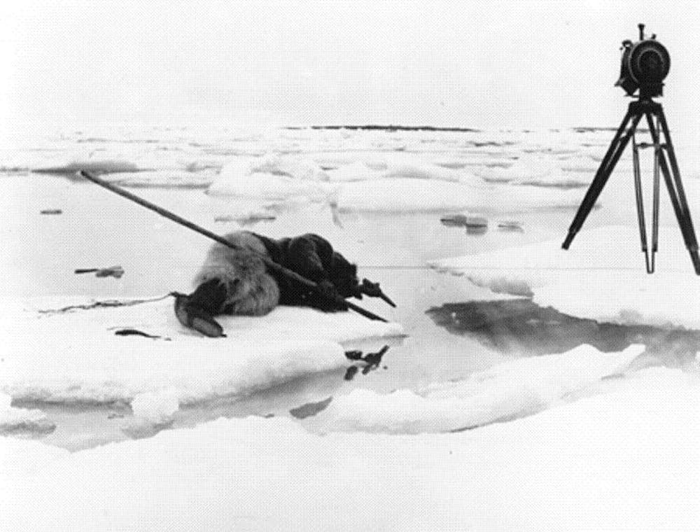 Tournage_de_Nanook_of_the_North_1922.jpg