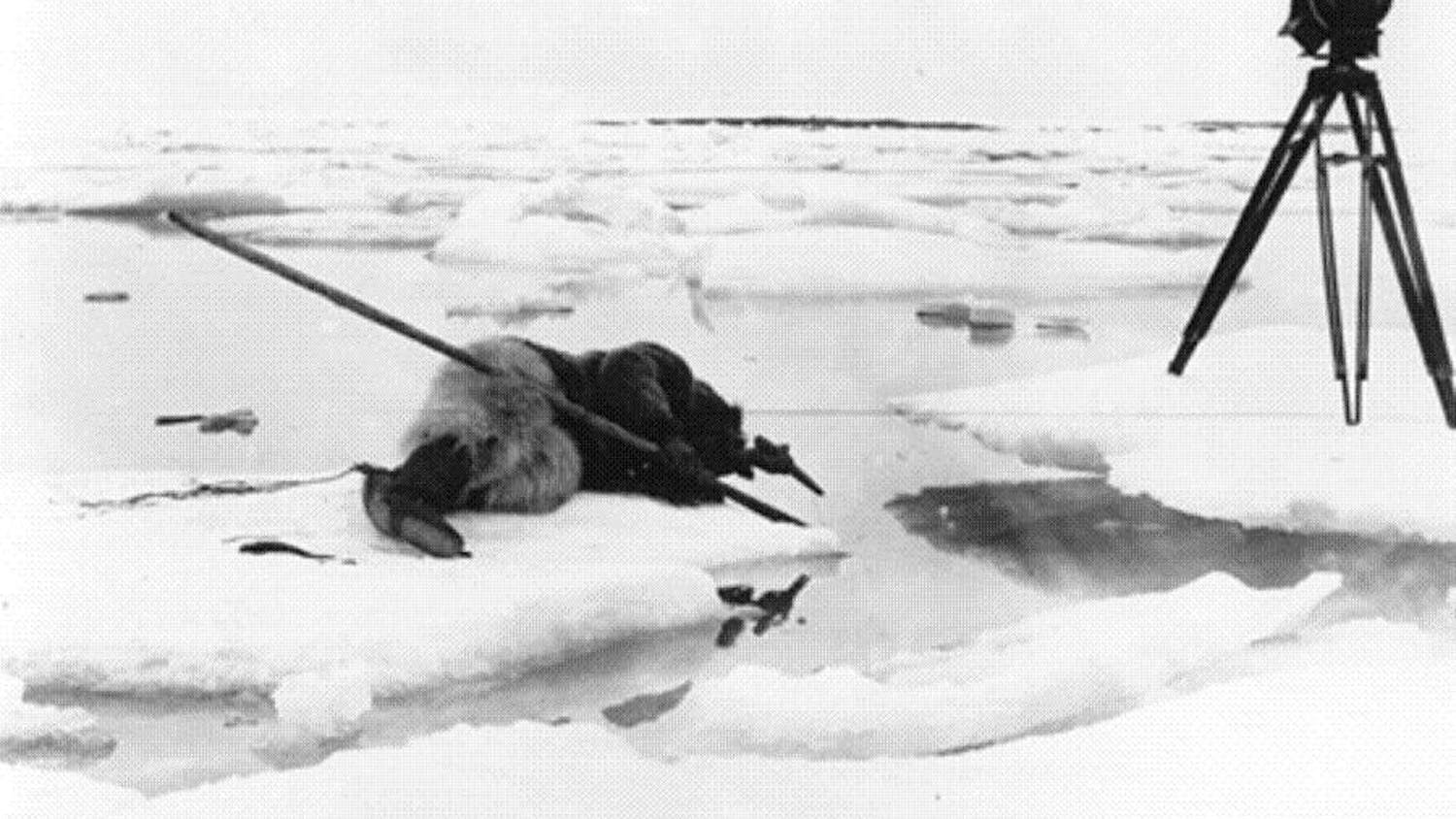 Tournage_de_Nanook_of_the_North_1922.jpg