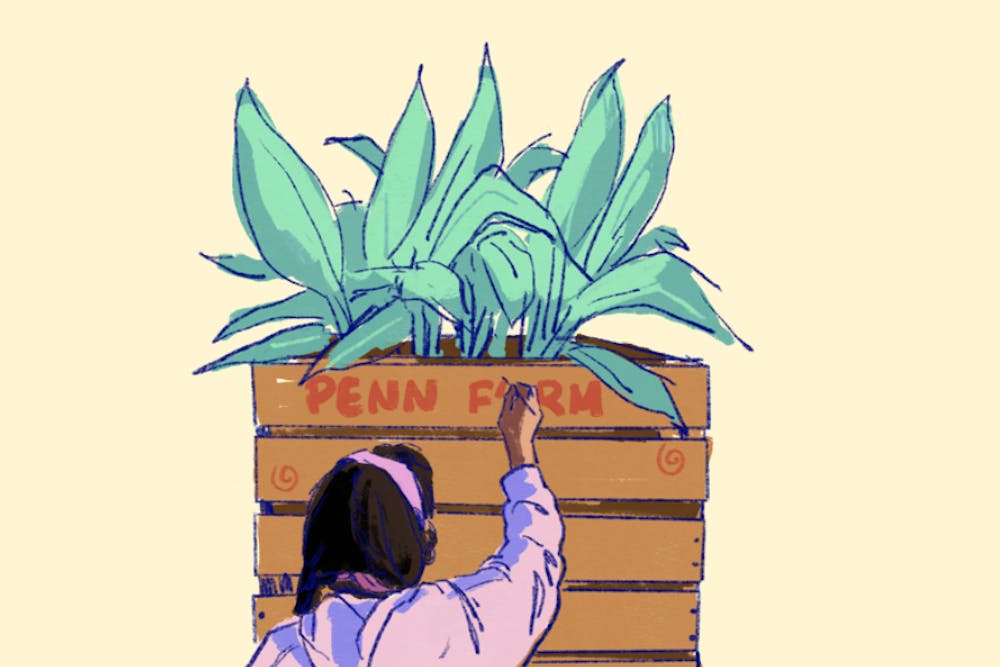 penn farm 900x600.png