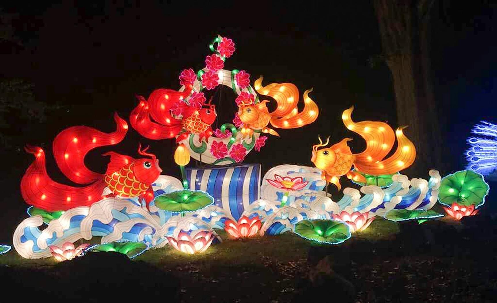 photoessay_SejalSangani