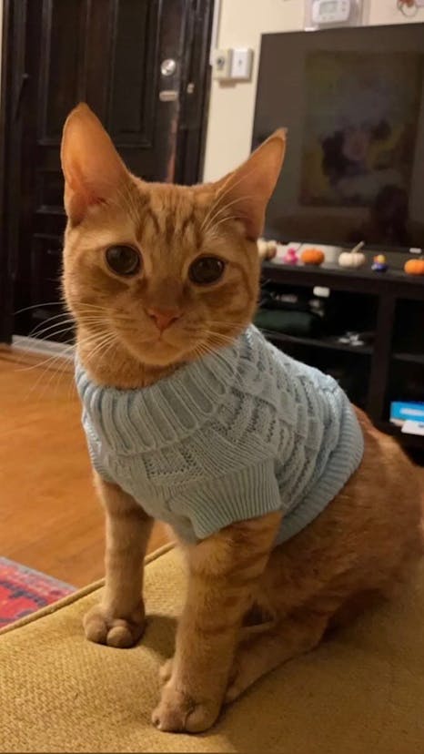 1A5E077D-00AD-454C-85C2-4B2E8B565514_Original (1).jpg