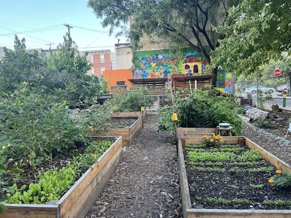 Reclaimed Land Philadelphia’s Urban Agriculture Movement 34th Street