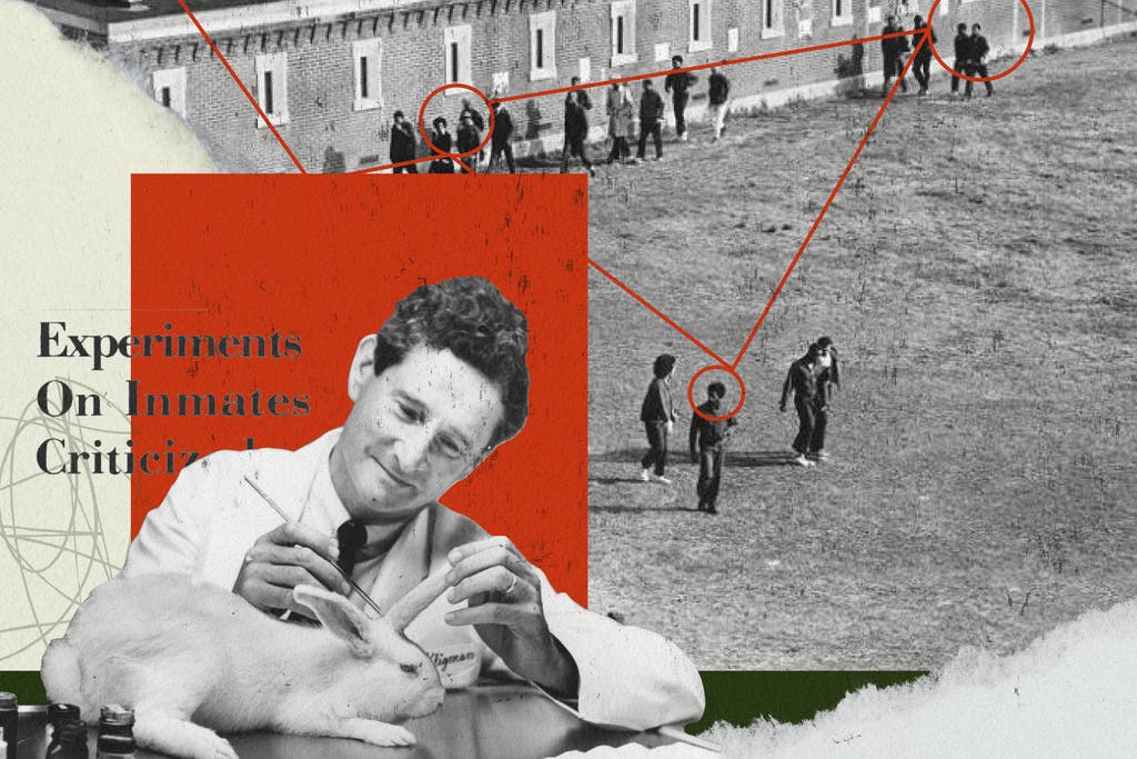 Image from iOS (1).png