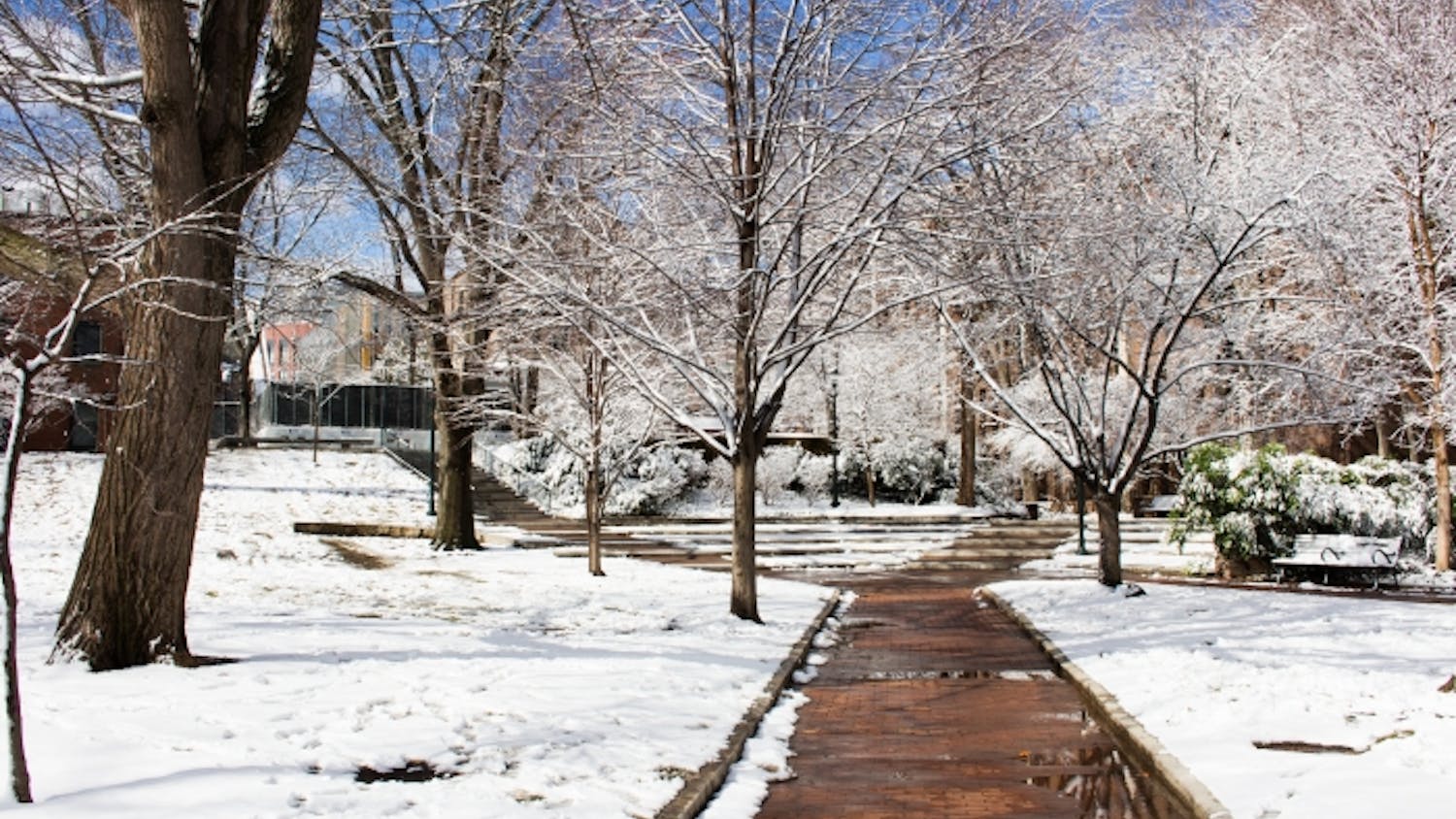 snowy college green