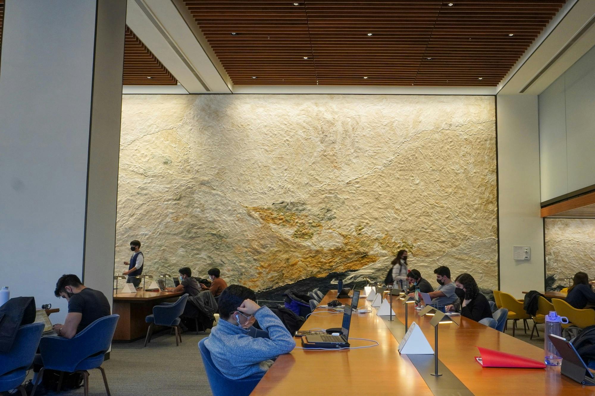 Fields of Transformation (andrew yang)-3.jpg