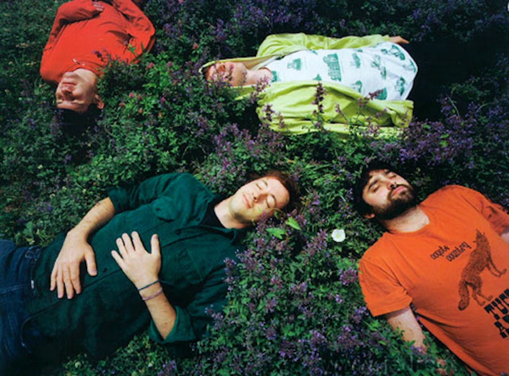 Concert Review: Animal Collective at the Mann Center | 34th Street Magazine