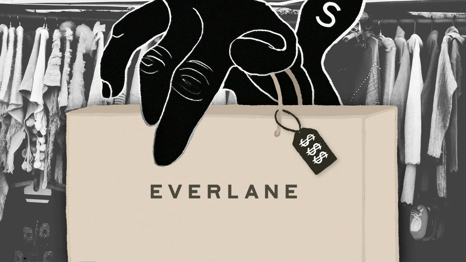 Shein Everlane dom.png