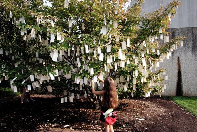 Wish Tree for Washington (1996/2007).jpeg