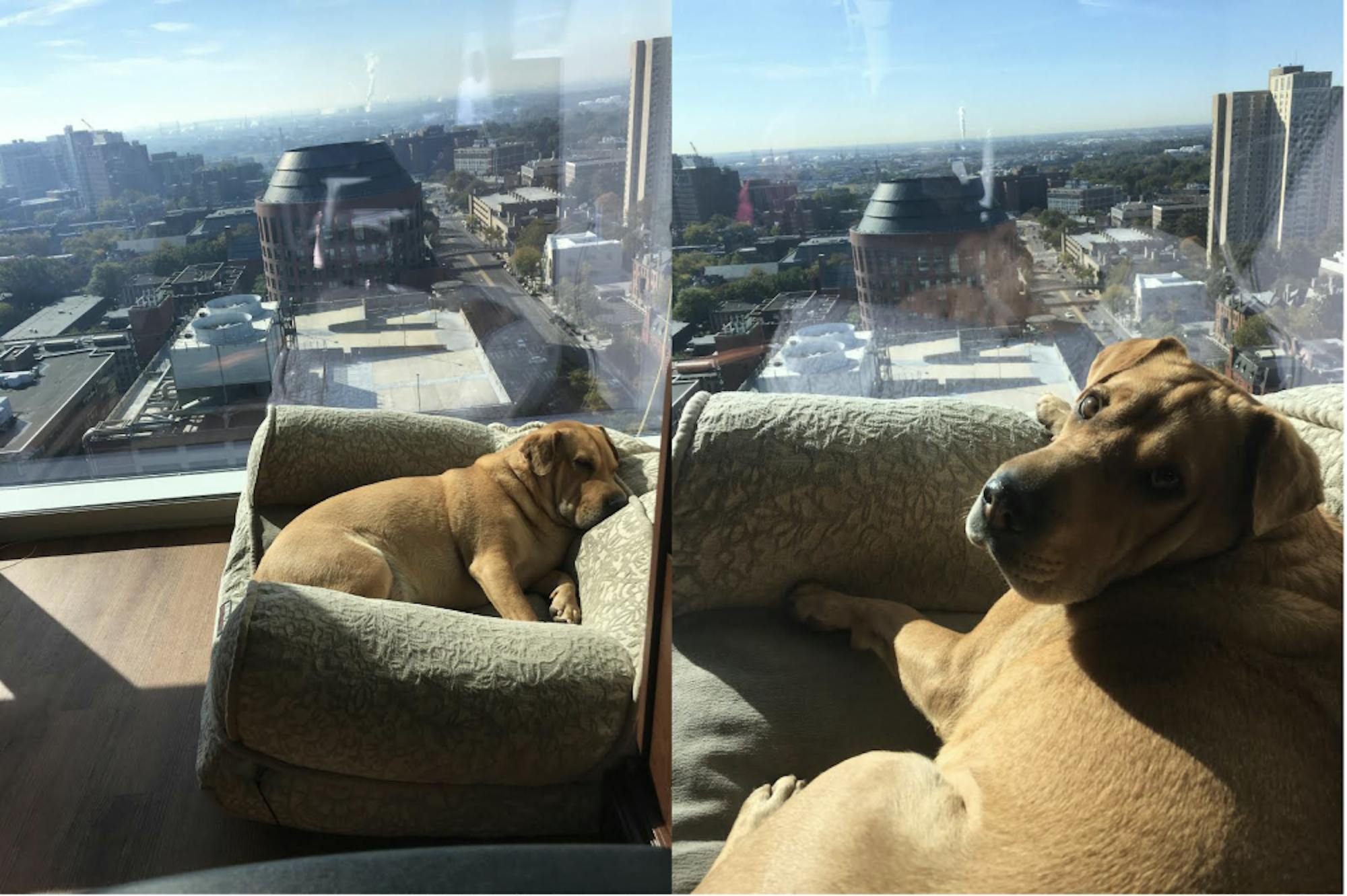 Screen Shot 2017-11-08 at 3.53.46 PM.png