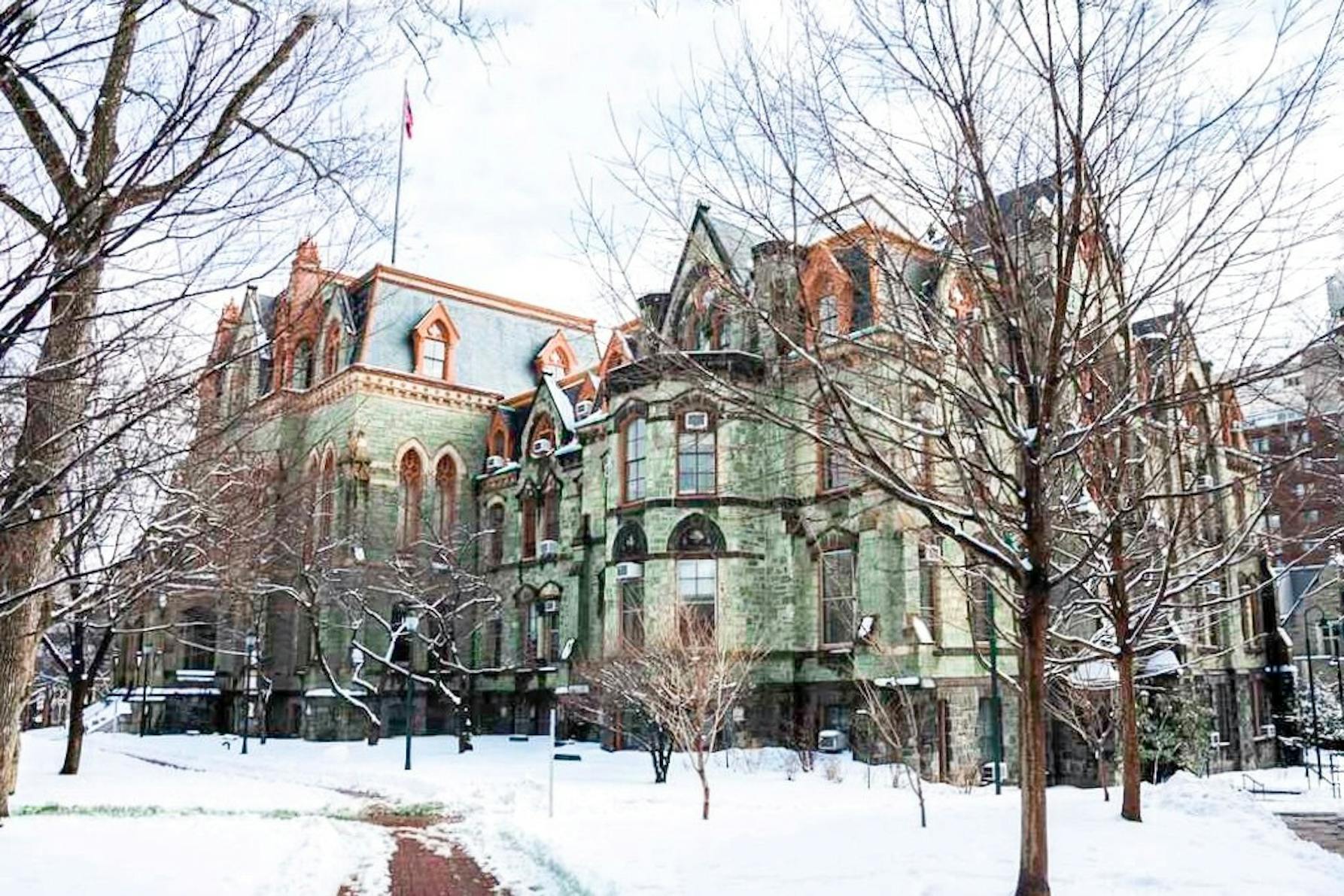 college_admission_during_covid