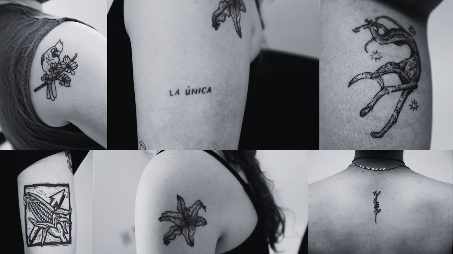 Untitled design-2.png