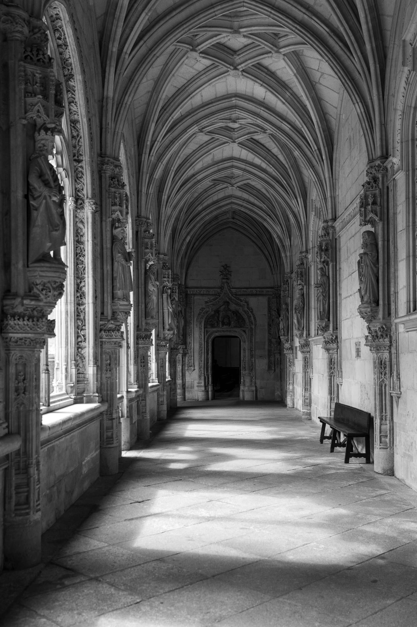 08-27-24 Photo Essay Ethan 3 (Ethan Young) 