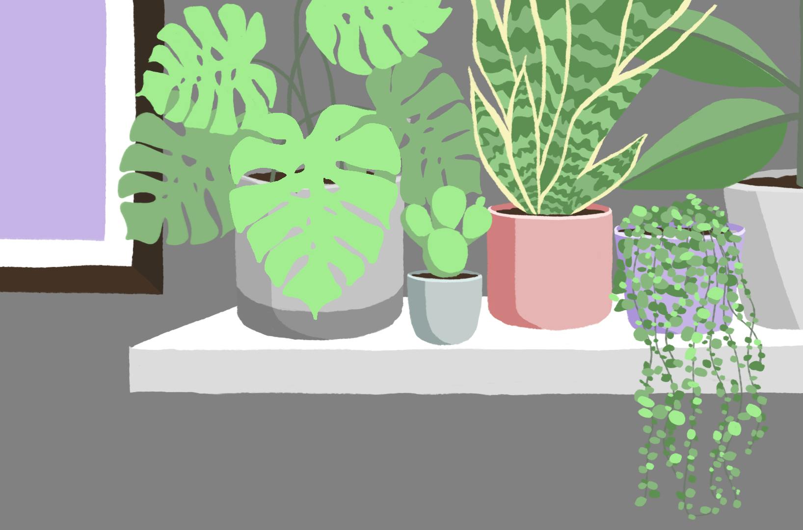 11-19-22 Luxury of Nature (Erin Ma).png