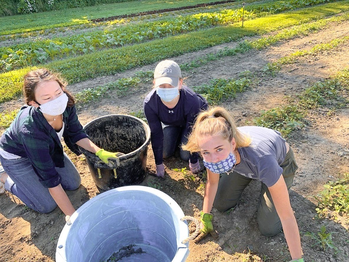 photoessay_LilyStein