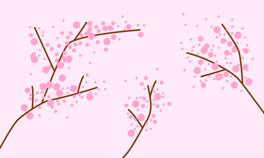 dp_cherry_blossoms.png