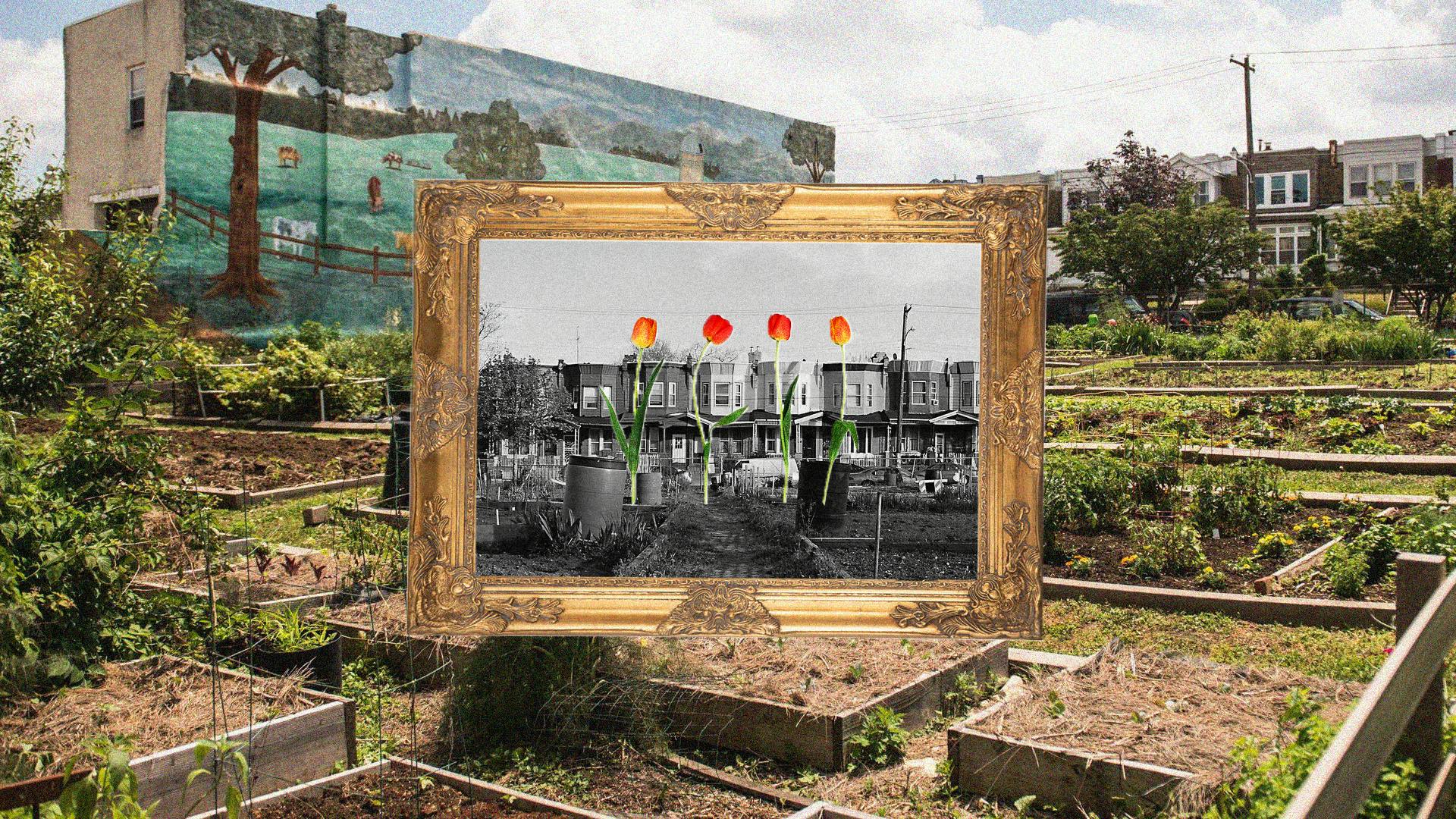 11-13-22 Community Gardens (Wei-An Jin).png