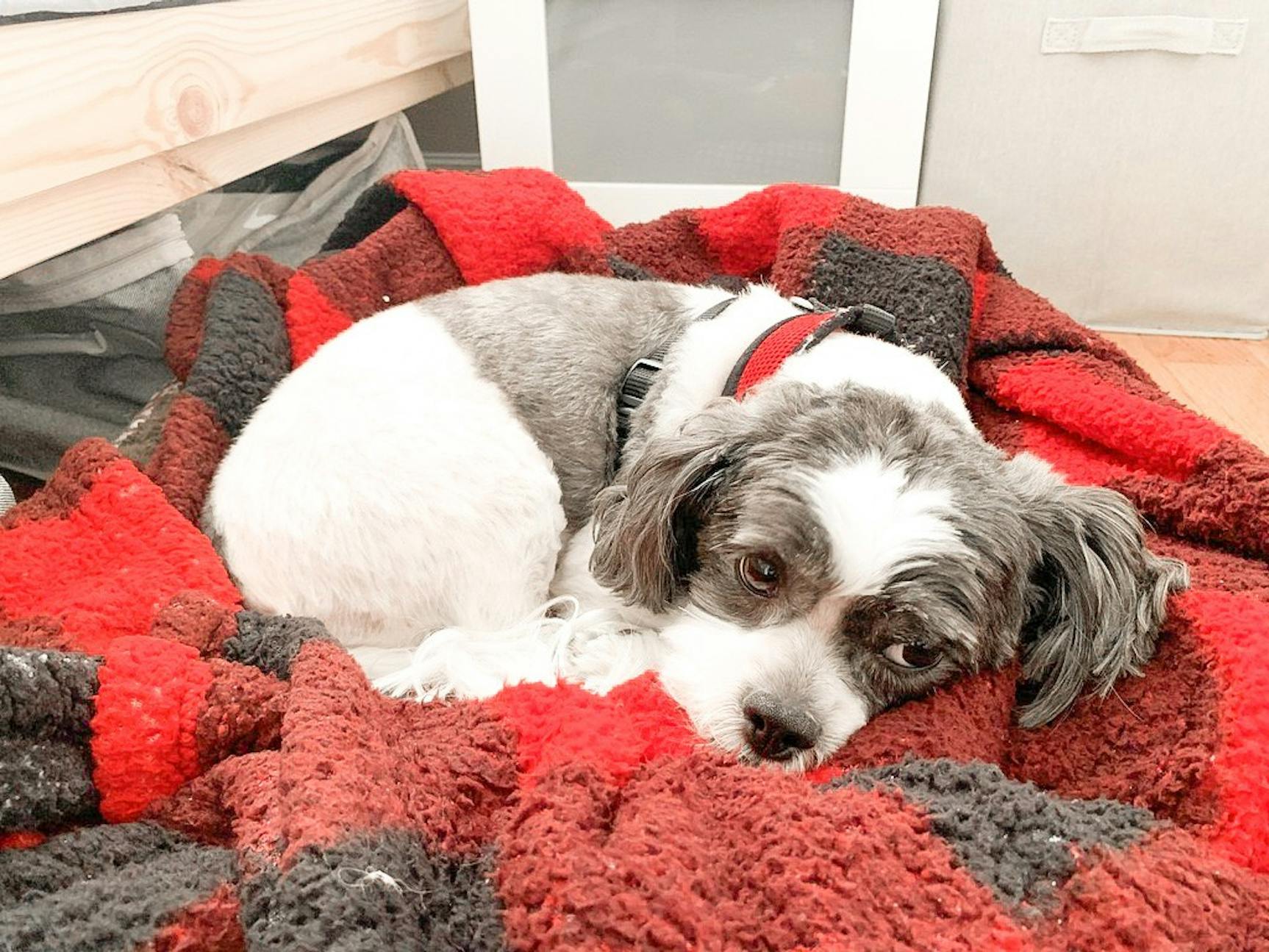 photoessay_ChelseyZhu