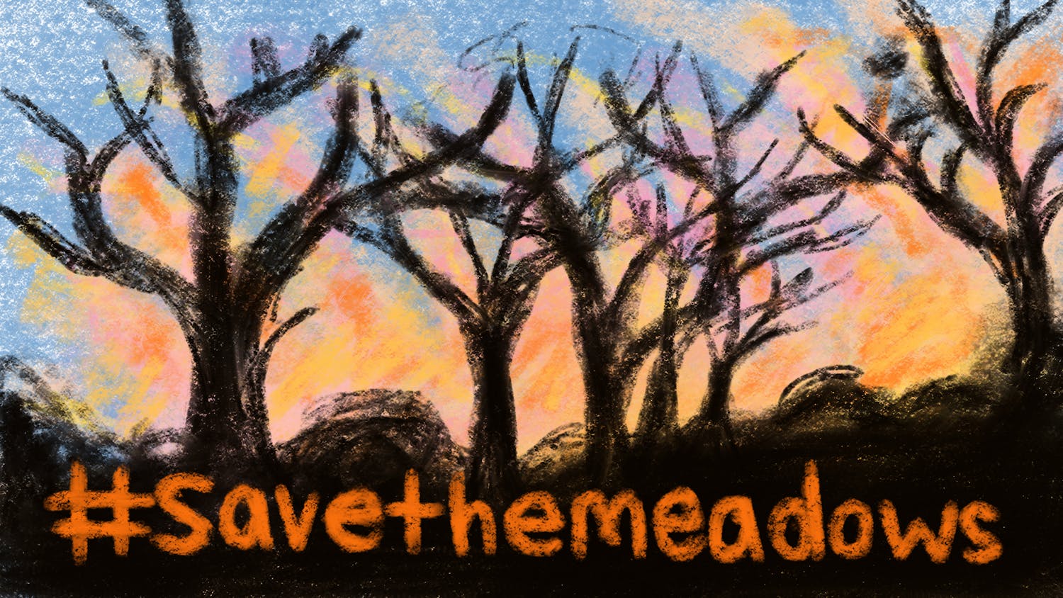 10-25-22 Save the Meadows (Jojo Buccini) .png