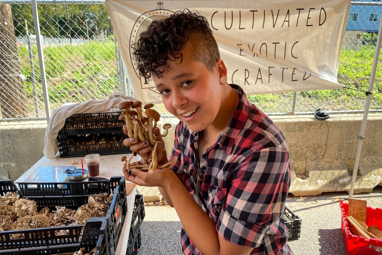 Clark Park Farmers Market Mushrooms