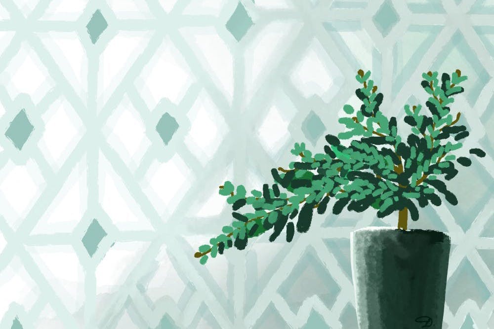 sustainability cropped