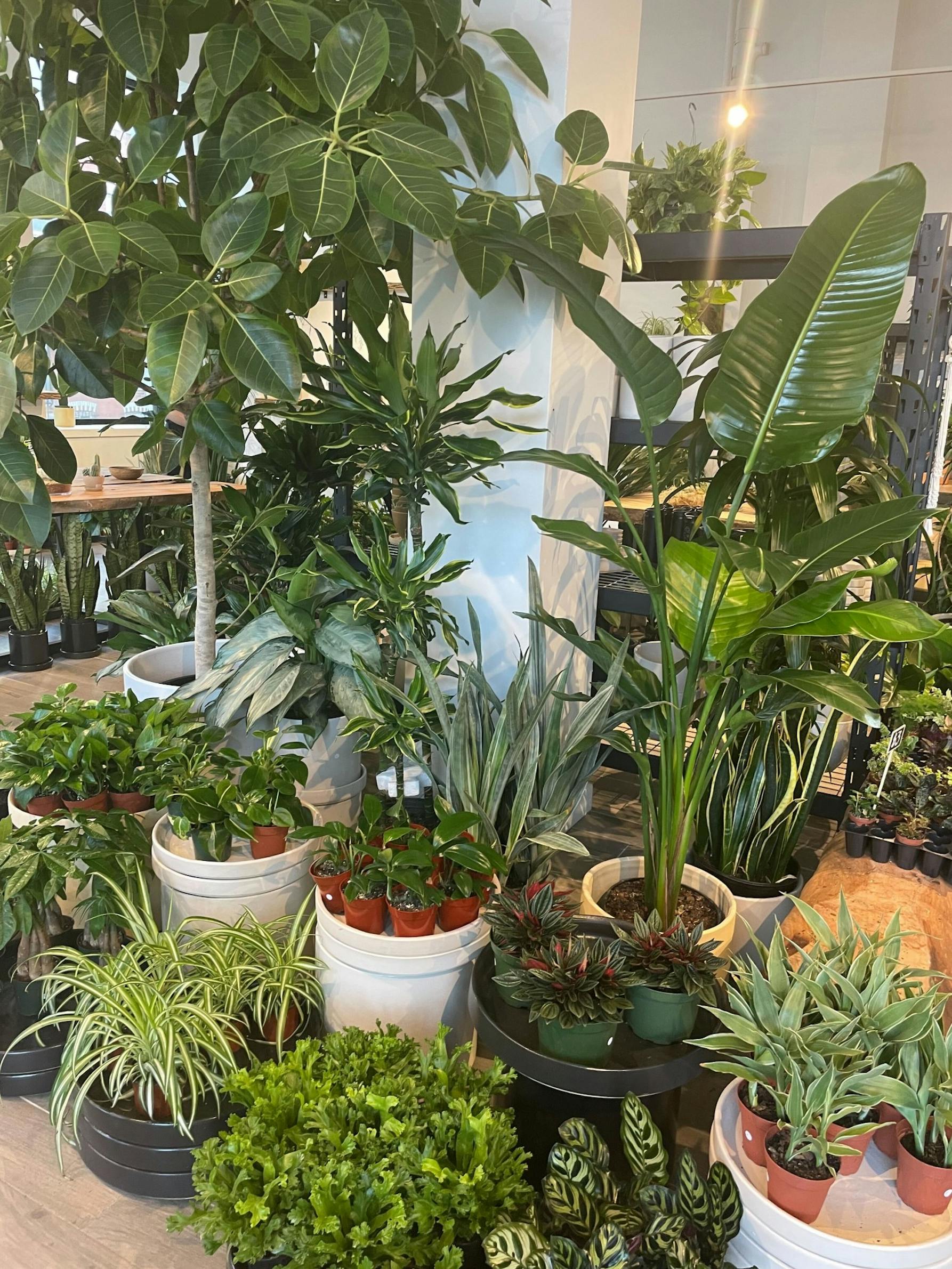 Image from iOS (2).jpg