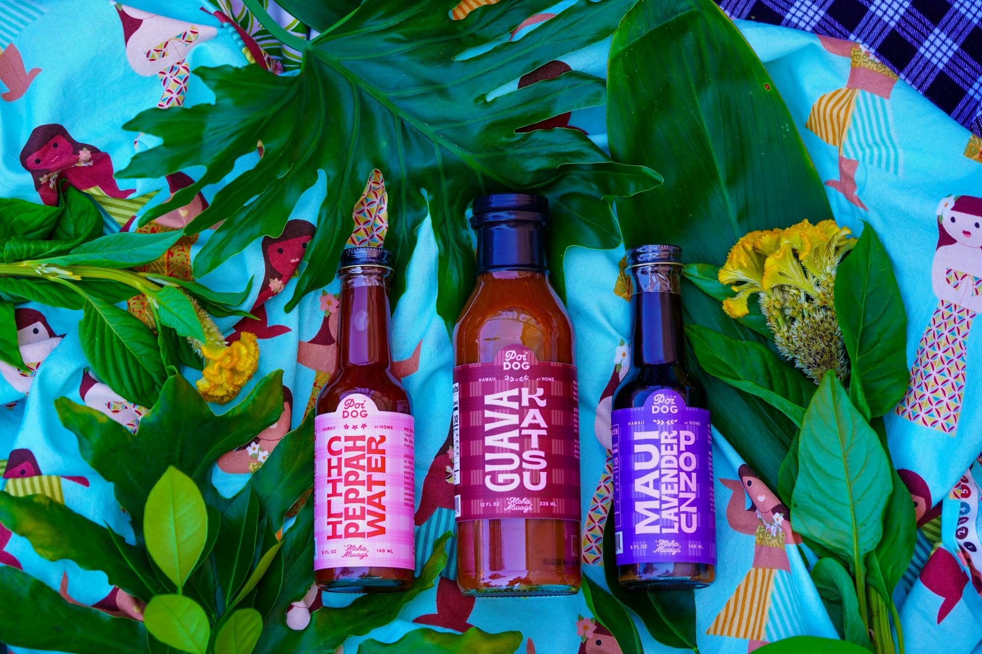 Poi Dog (mike prince)-2.jpg