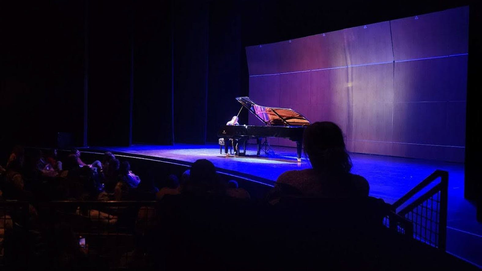 02-06-2025 Concert by Fazil Say (Bobby McCann)