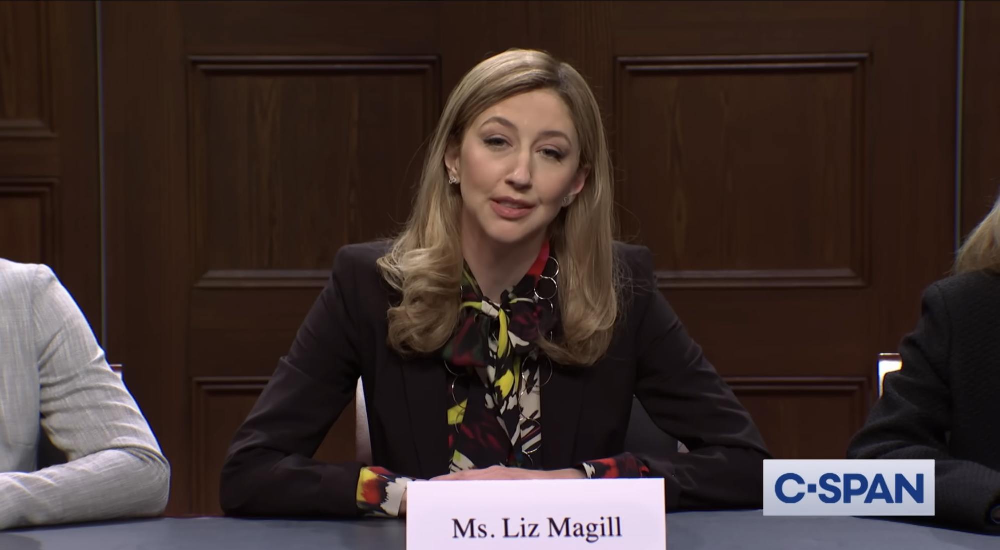 heidi gardner as liz magill