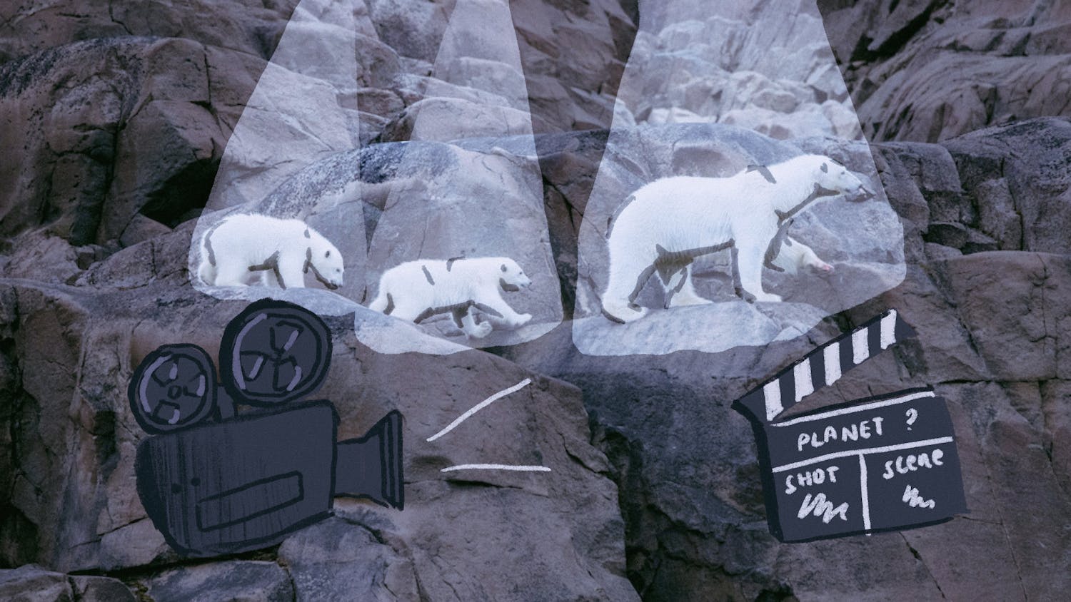 nature doc (6-23-23) Katrina Itona