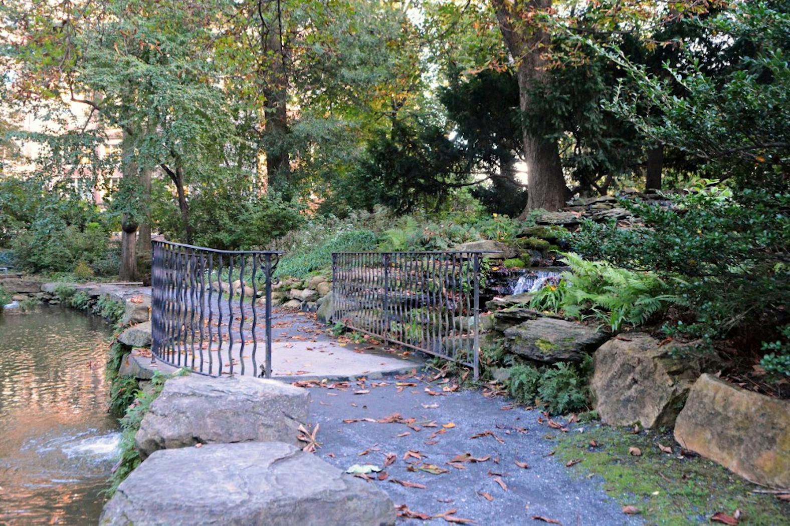 SophiaZhu_pocket park biopond.jpg