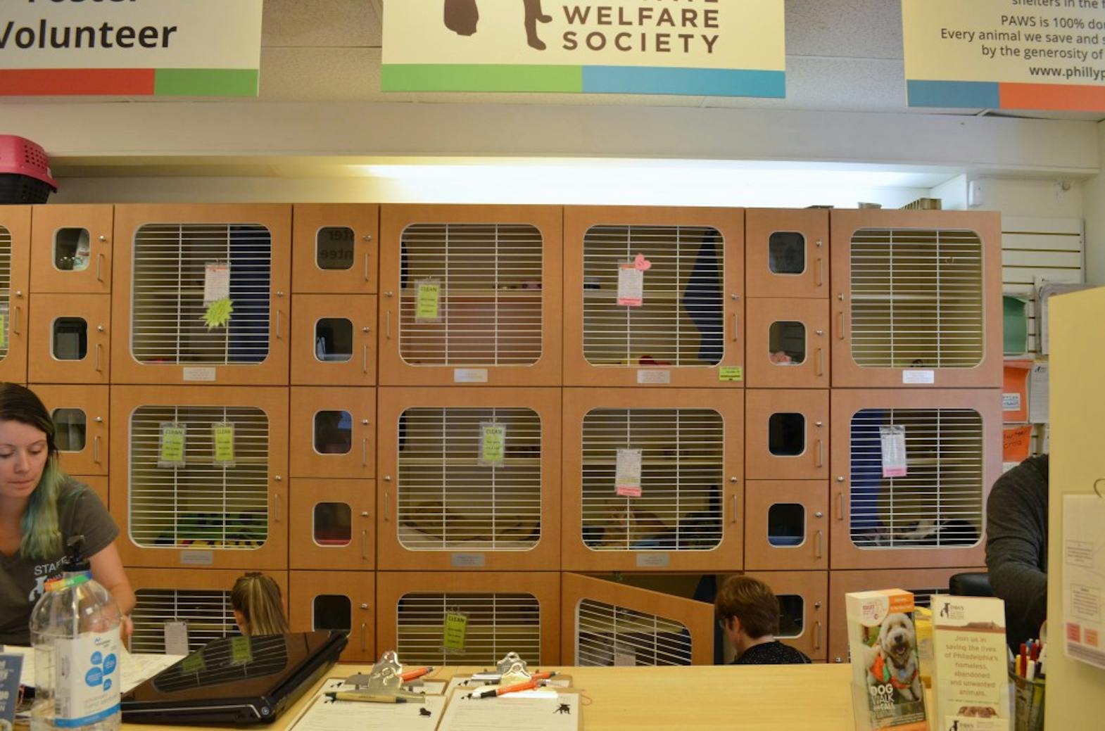 STAFF_adoption shelter_sophiazhu4.JPG