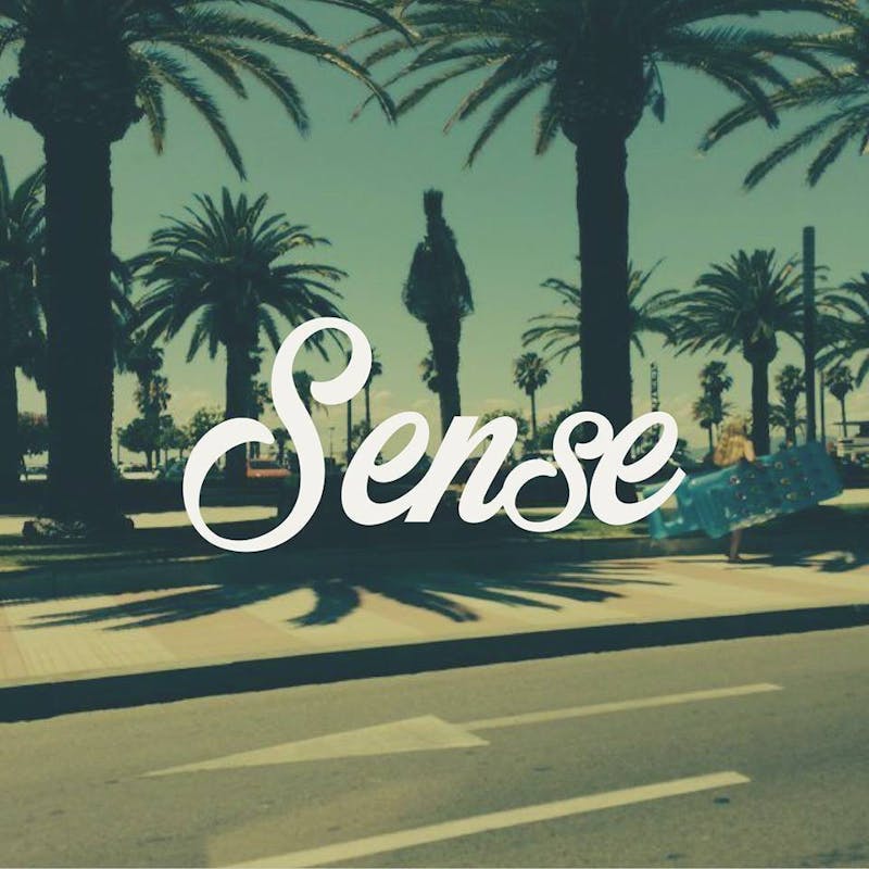 sense pic-2.jpg